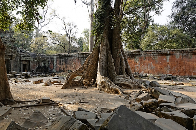 Ta Phrom et environs-077